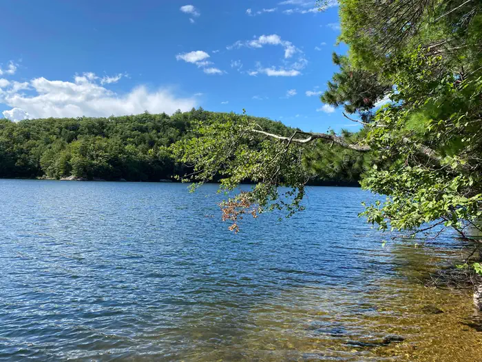 Silver Lake Campground photo 2
