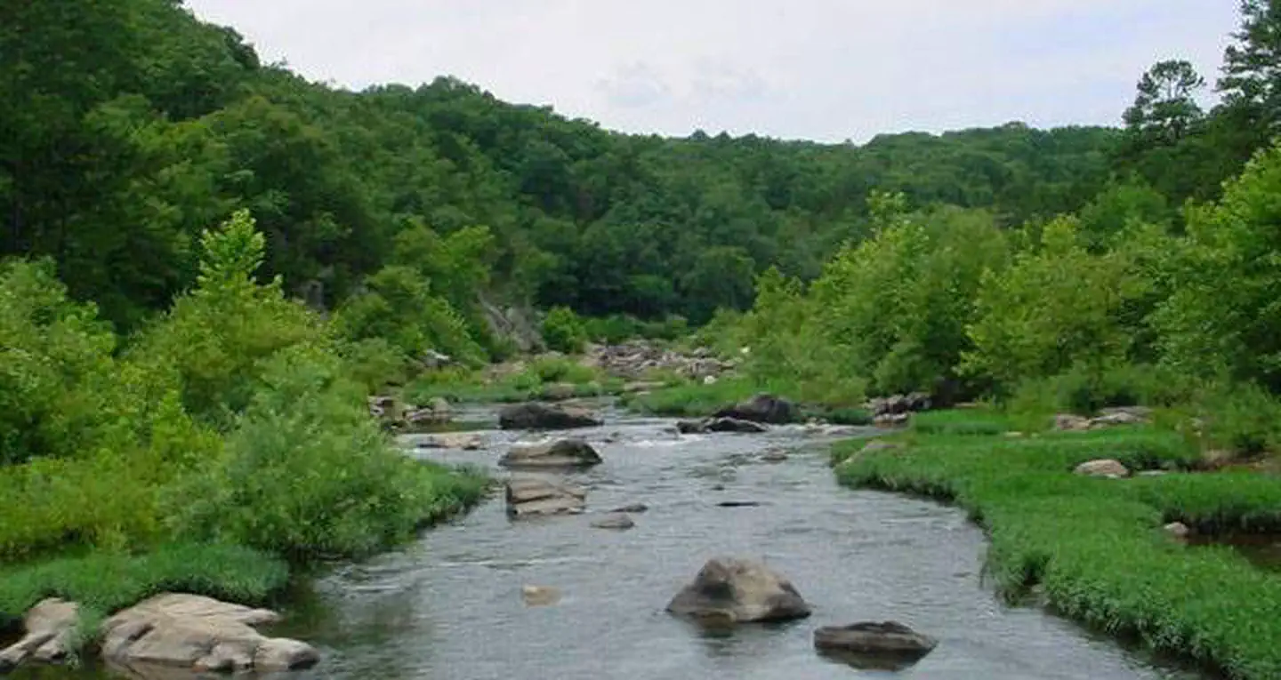 SILVER MINES photo 5
