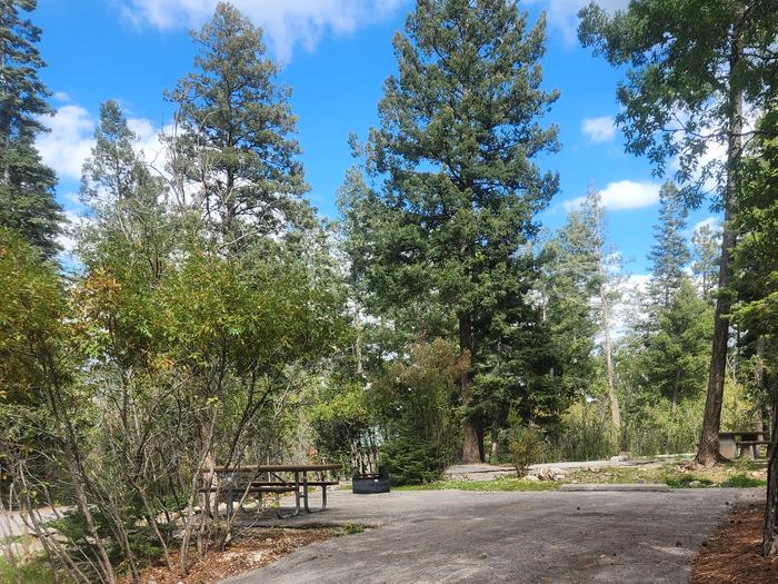 Silver (NM) photo 4