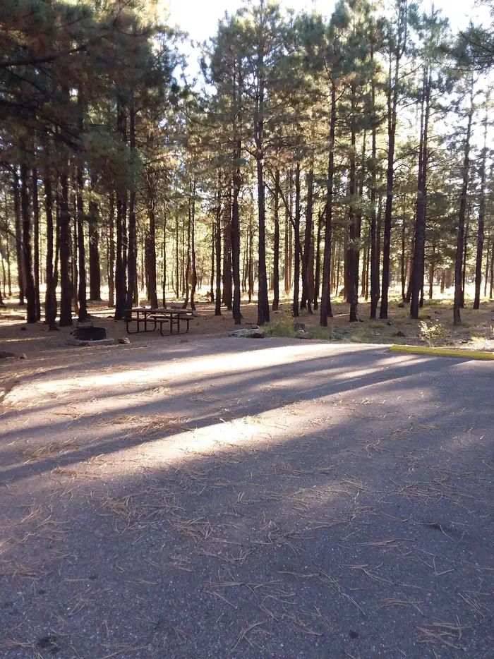 SINKHOLE CAMPGROUND photo 2
