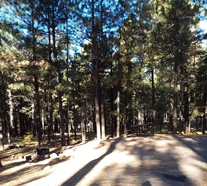 SINKHOLE CAMPGROUND photo 3