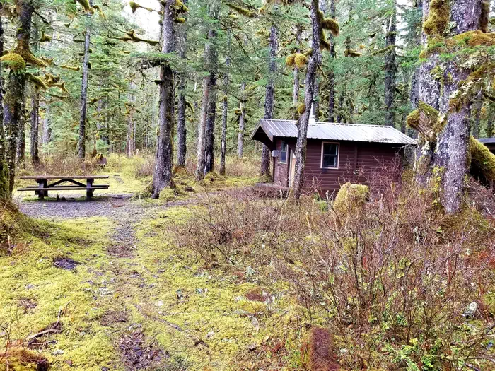SITUK LAKE CABIN photo