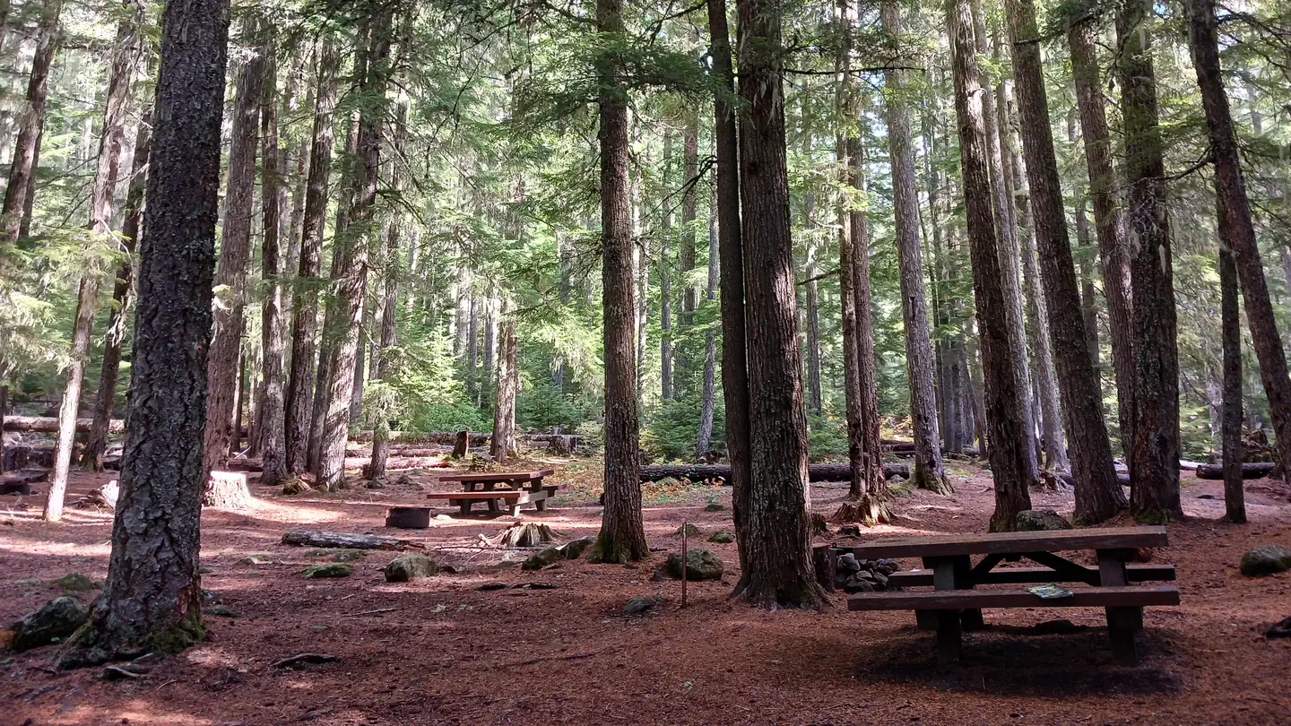 Skookum Creek Campground photo