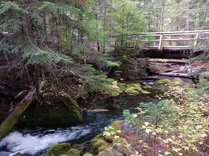 Skookum Creek Campground photo 4