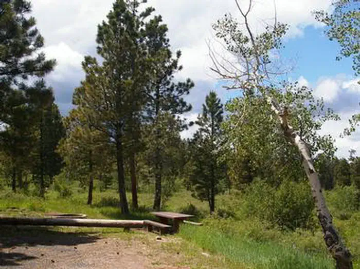 SKULL CREEK photo 3