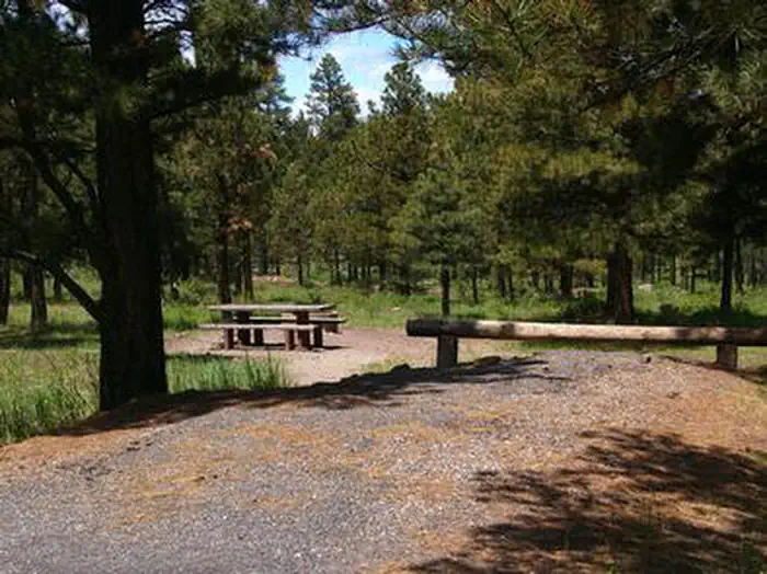 SKULL CREEK photo 5