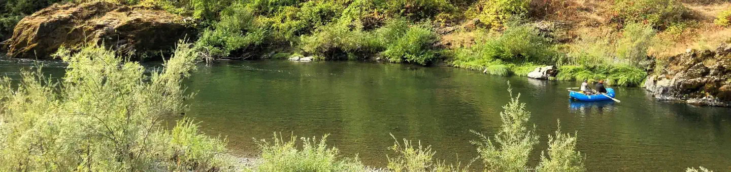 Skunk Point Group Campground photo