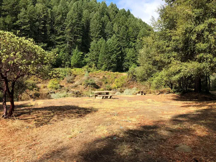 Skunk Point Group Campground photo 3