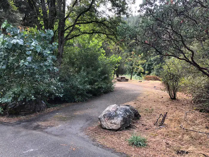Skunk Point Group Campground photo 4