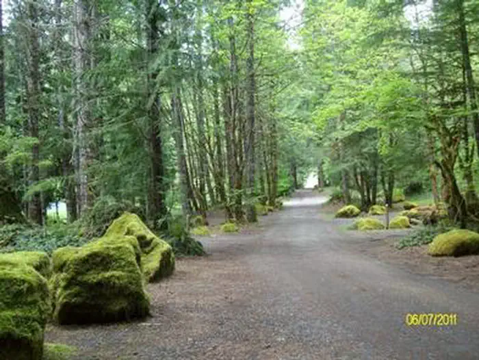 SLIDE CREEK photo 5
