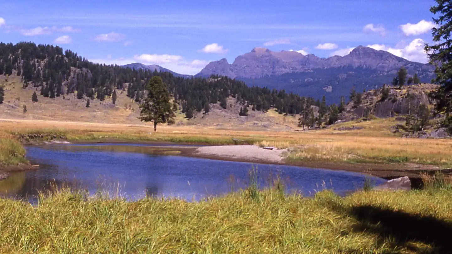 Slough Creek Campground photo