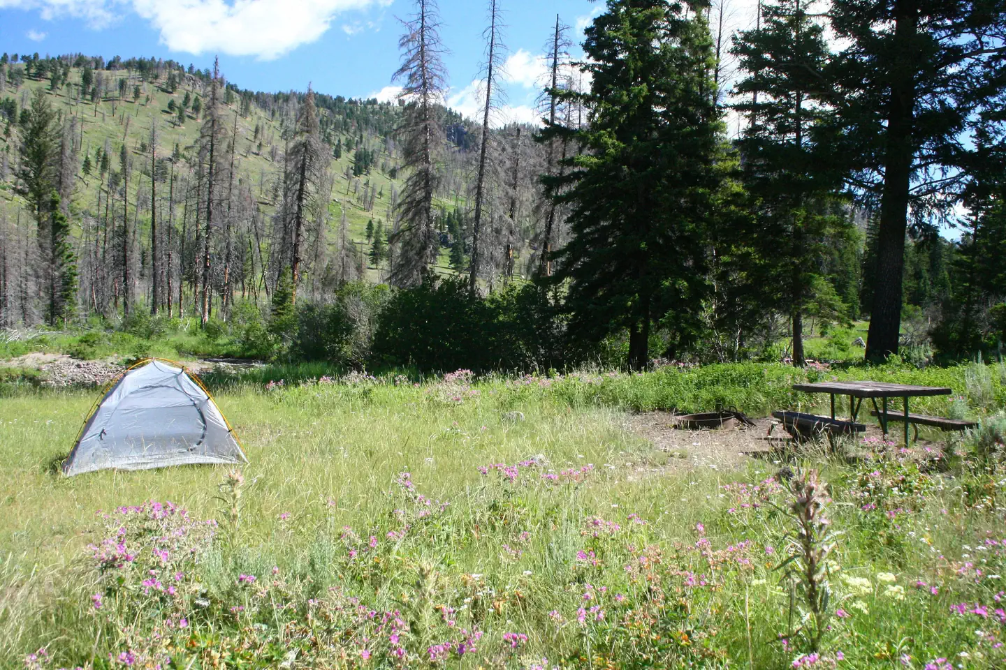 Slough Creek Campground photo 2