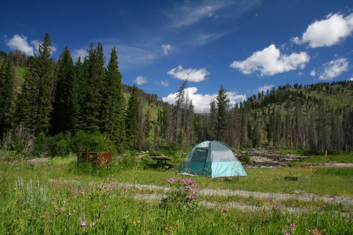 Slough Creek Campground photo 4