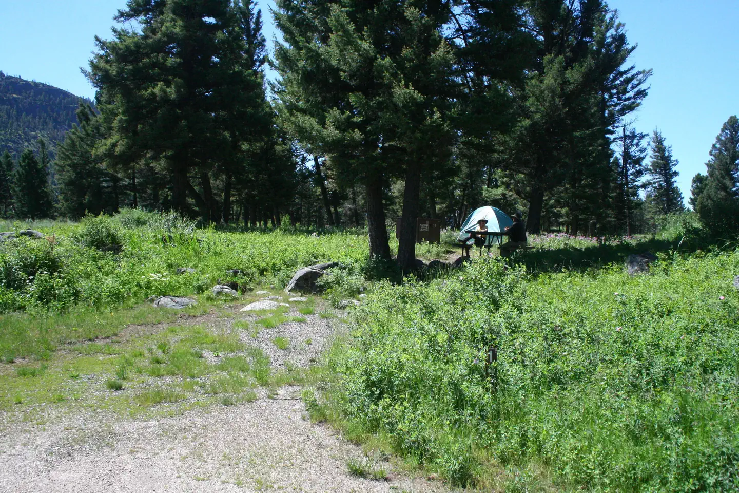 Slough Creek Campground photo 5