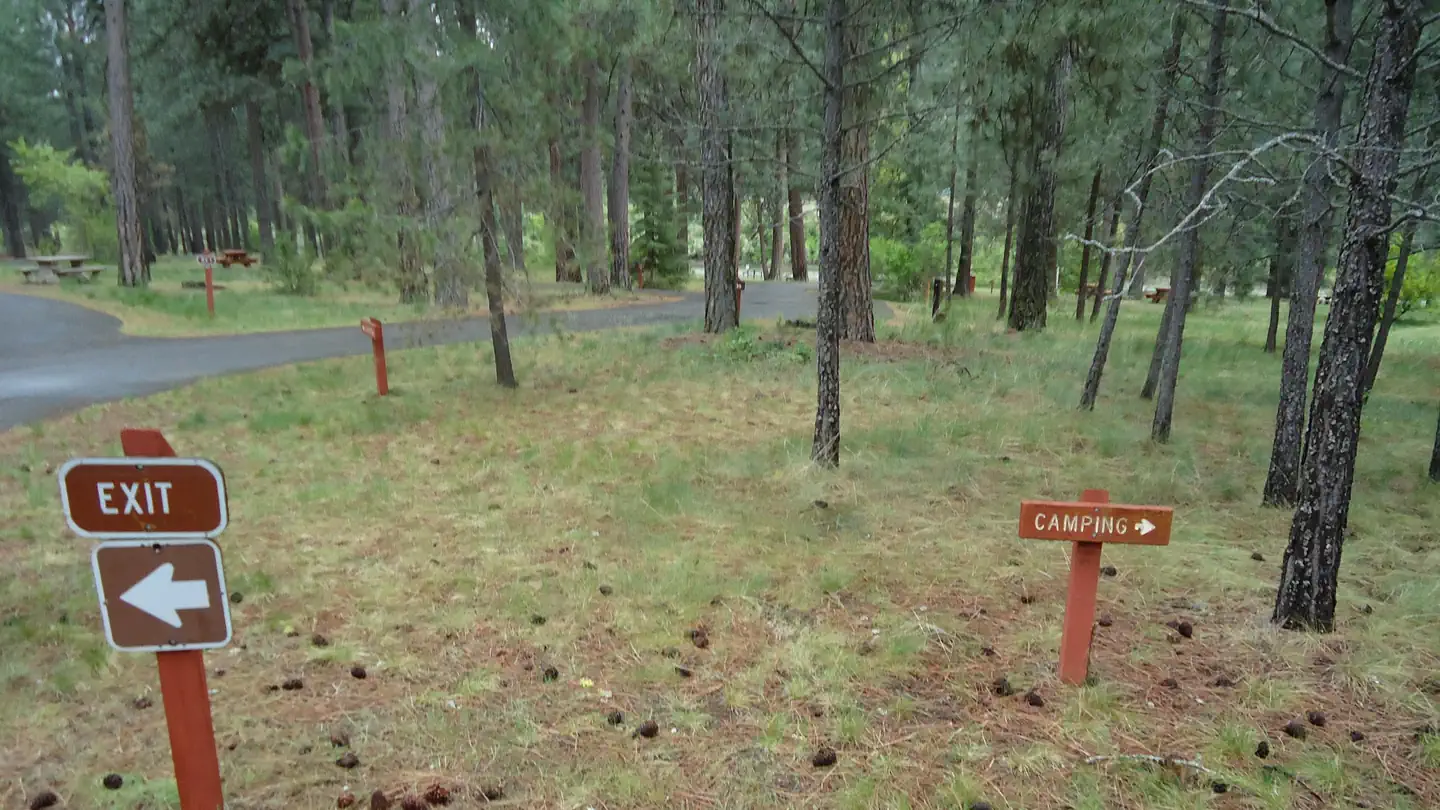 Sloway Campground (MT) photo