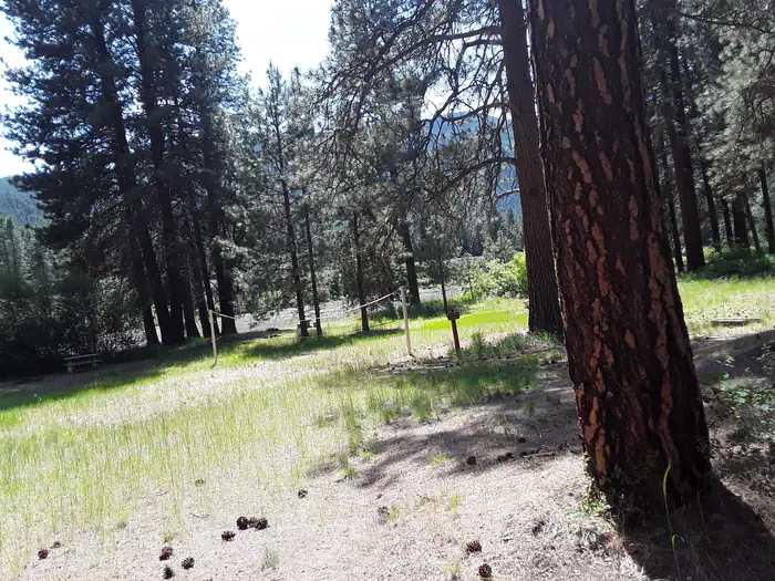 Sloway Campground (MT) photo 2