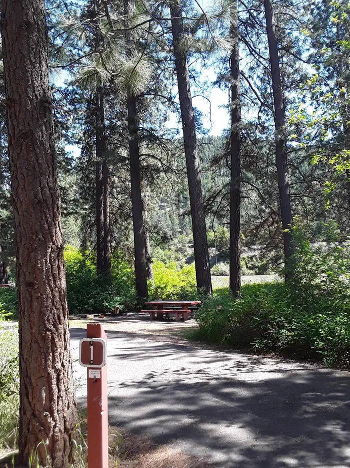 Sloway Campground (MT) photo 3