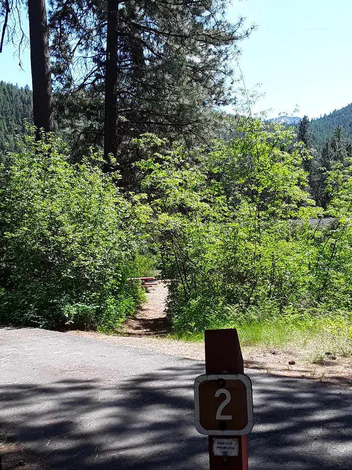 Sloway Campground (MT) photo 5