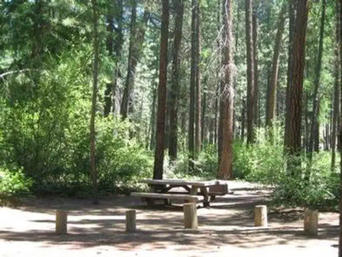 SMILING RIVER CAMPGROUND photo 4
