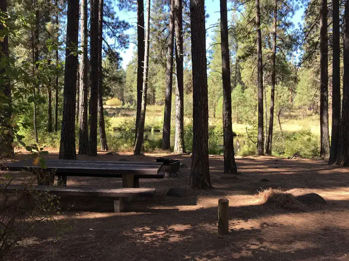 SMILING RIVER CAMPGROUND photo 5