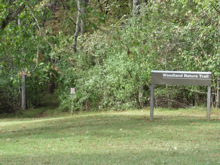 SMITH RIDGE photo 4