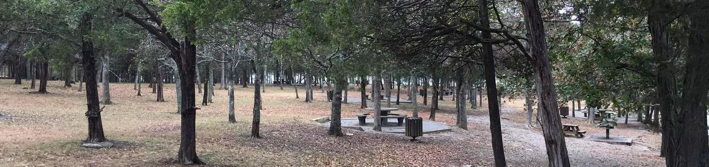 SMITH SPRINGS photo