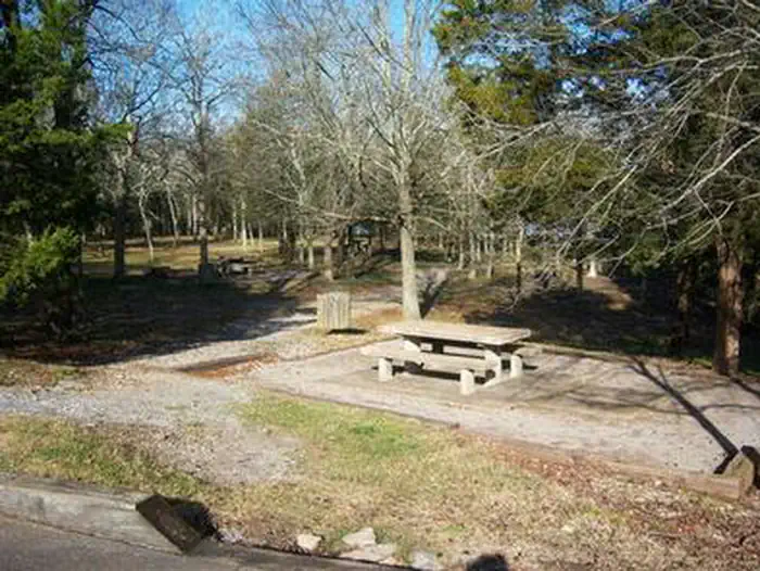 SMITH SPRINGS photo 2