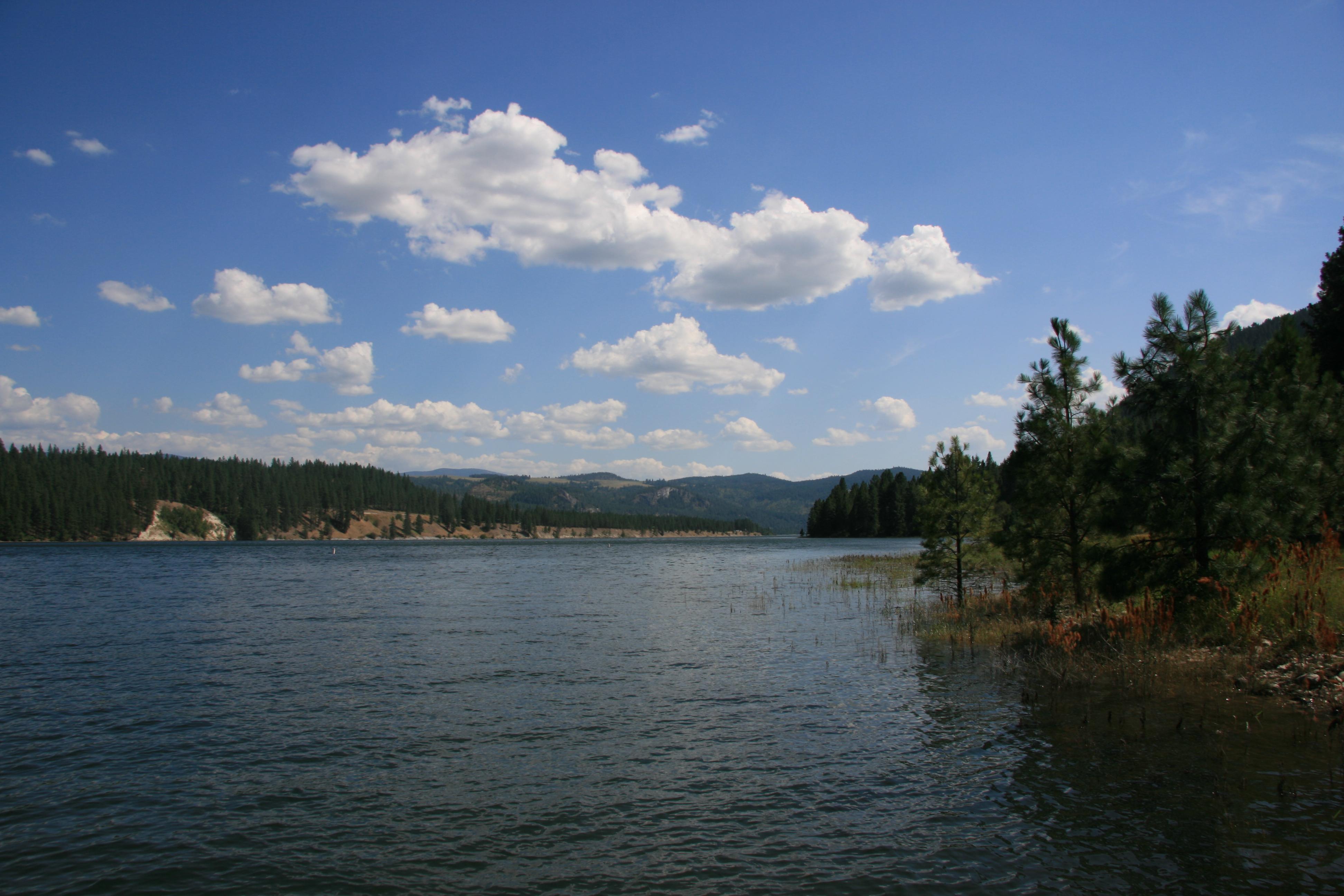 Snag Cove Campground photo 2