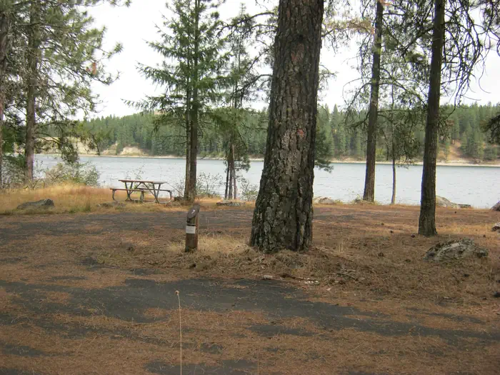 Snag Cove Campground photo 3