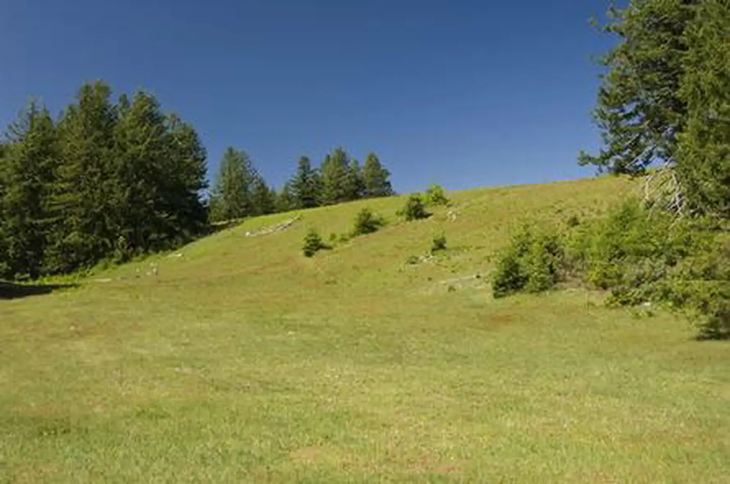 SNOW CAMP LOOKOUT photo 5