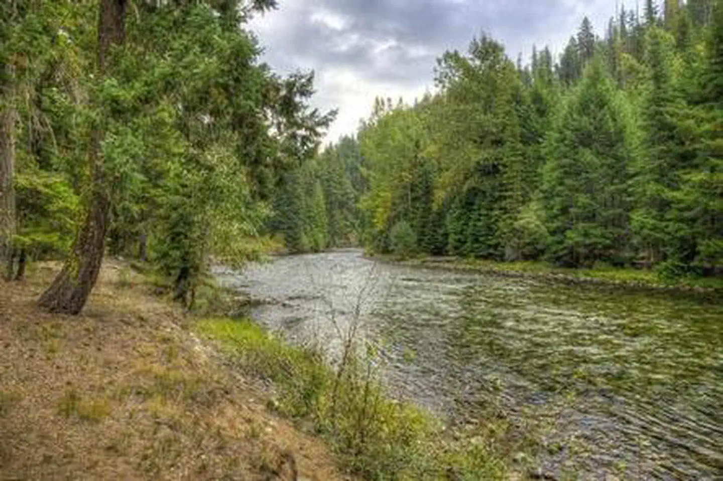 Soda Springs Campground (Bumping River, WA) photo 2