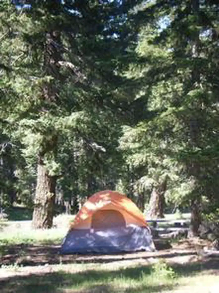 Soda Springs Campground (Bumping River, WA) photo 3