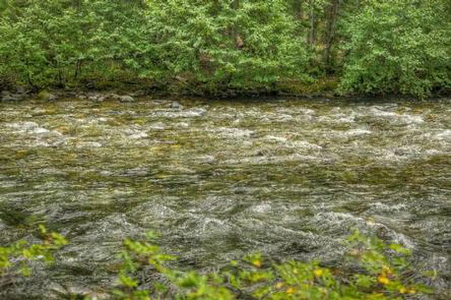 Soda Springs Campground (Bumping River, WA) photo 5