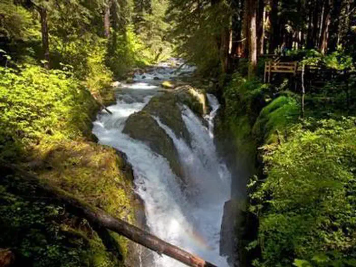 SOL DUC HOT SPRINGS RESORT CAMPGROUND photo 3