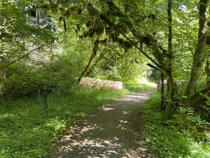 SOL DUC HOT SPRINGS RESORT CAMPGROUND photo 4