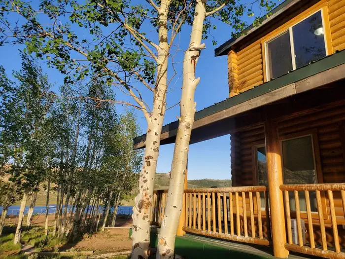 Soldier Creek Vacation Cabin photo 5