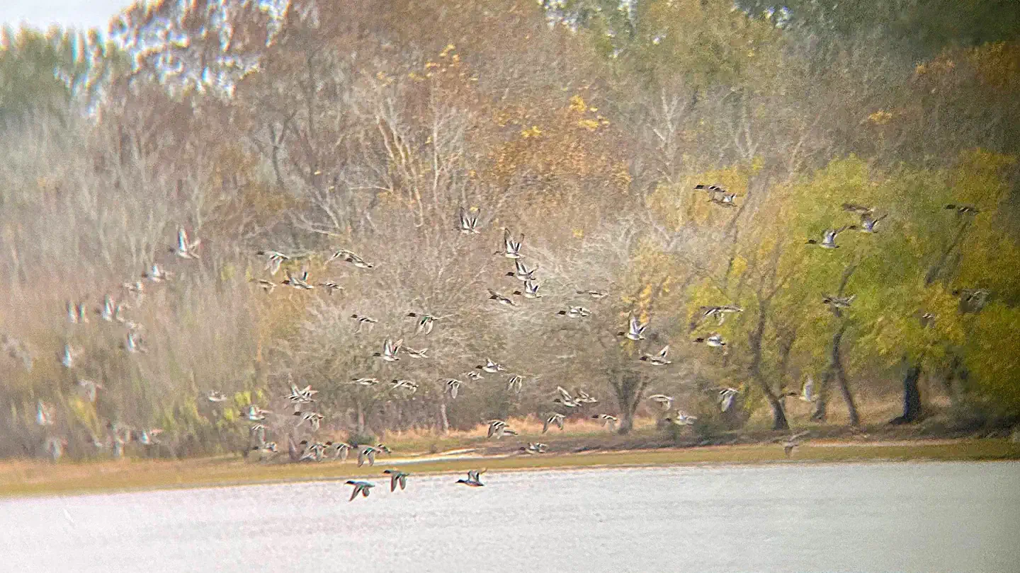 Somerville Lake Waterfowl Blind Permits photo