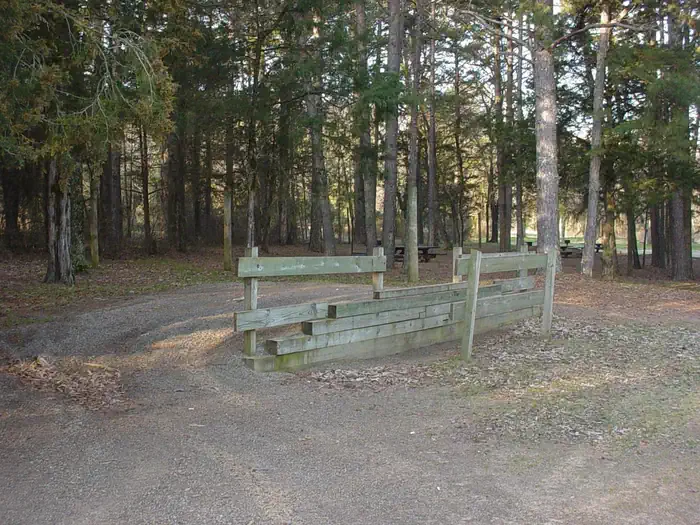 Sorghum Hollow photo 4