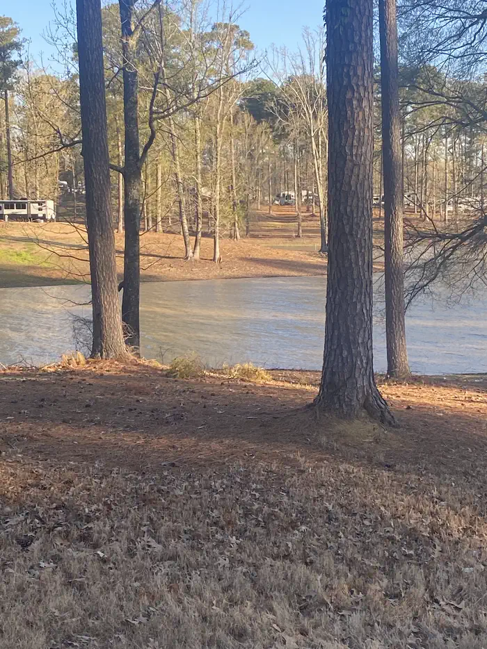 South Abutment Campground photo