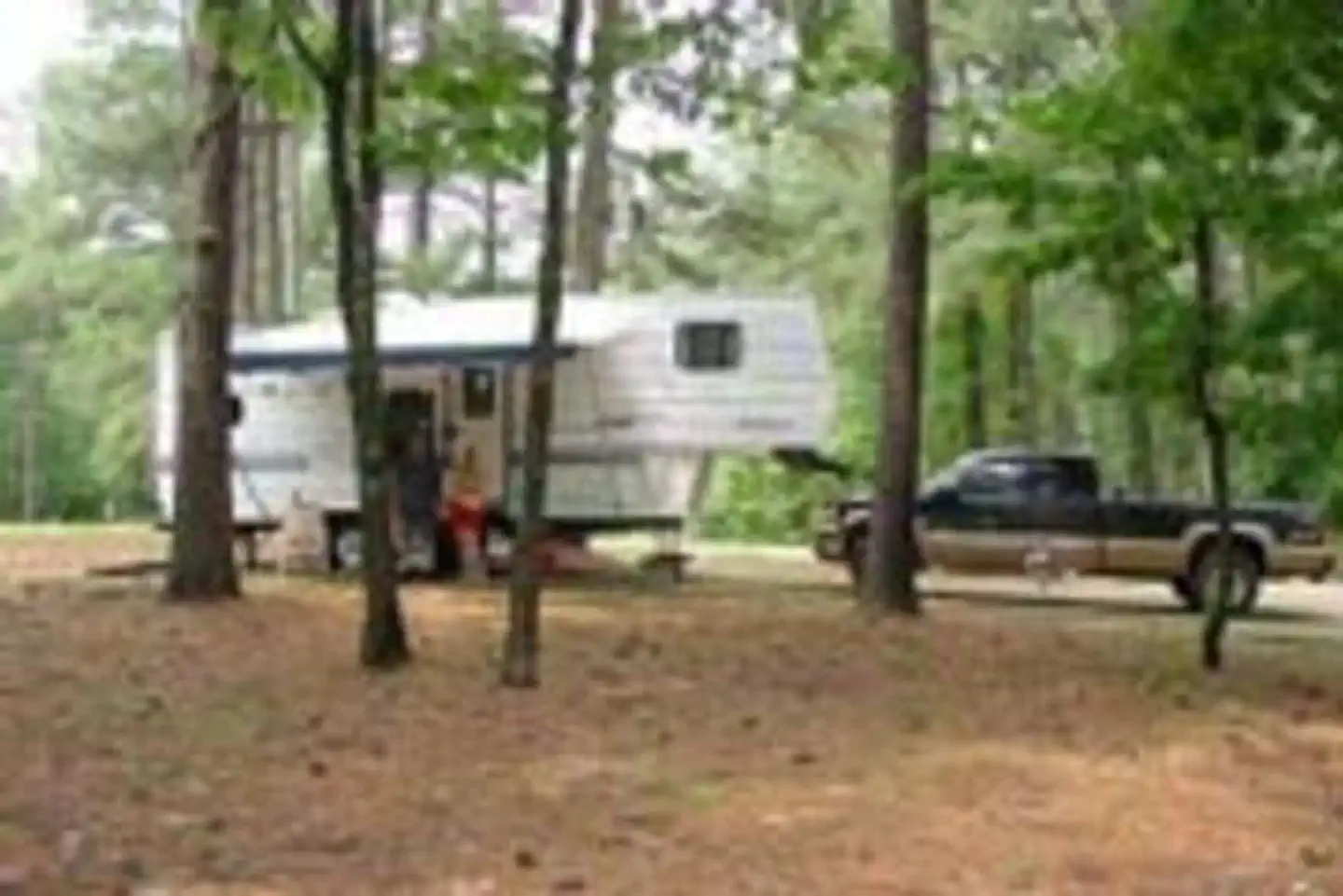 South Abutment Campground photo 5