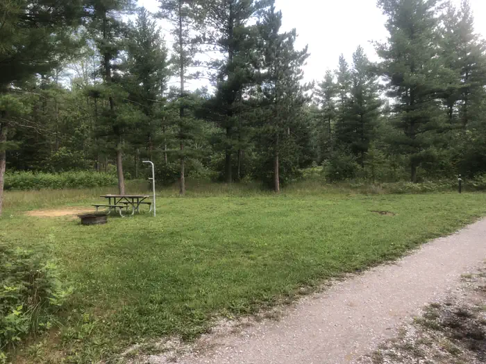 SOUTH BRANCH TRAIL CAMP GROUP SITE photo 3
