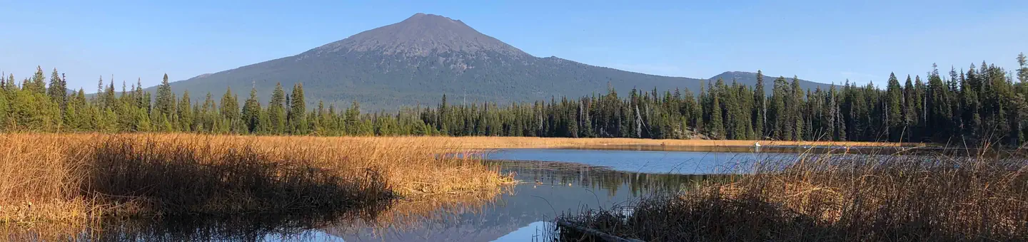 South Campground - Hosmer Lake (OR) photo