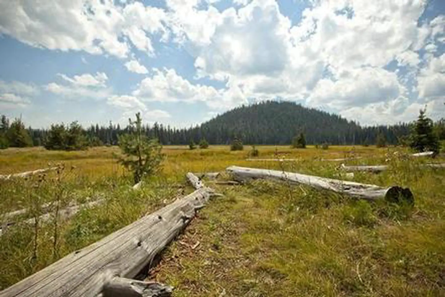 South Campground - Hosmer Lake (OR) photo 3