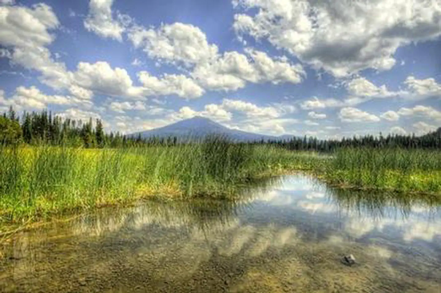 South Campground - Hosmer Lake (OR) photo 4