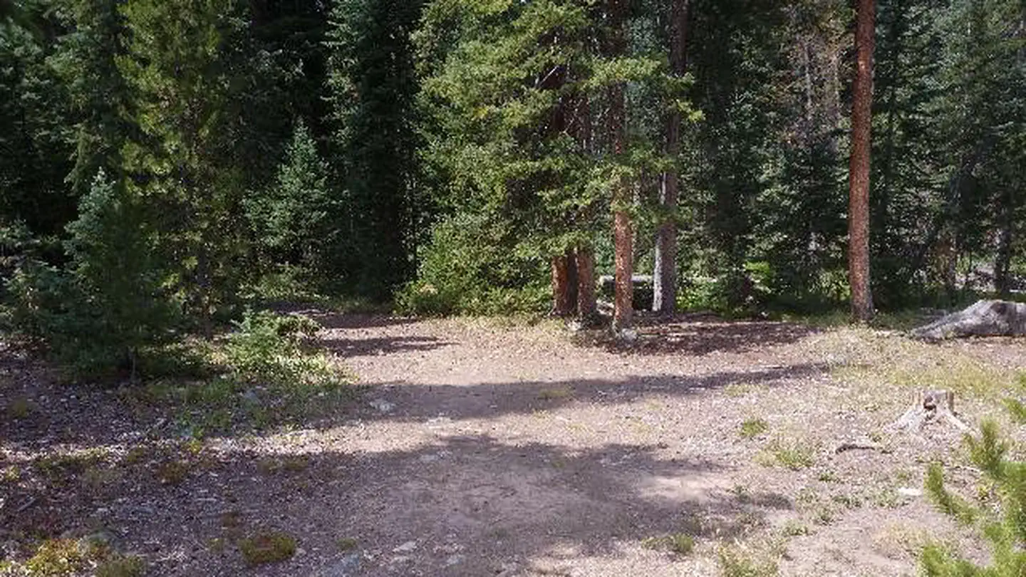 South Fork Group Site - Arapaho NF (CO) photo