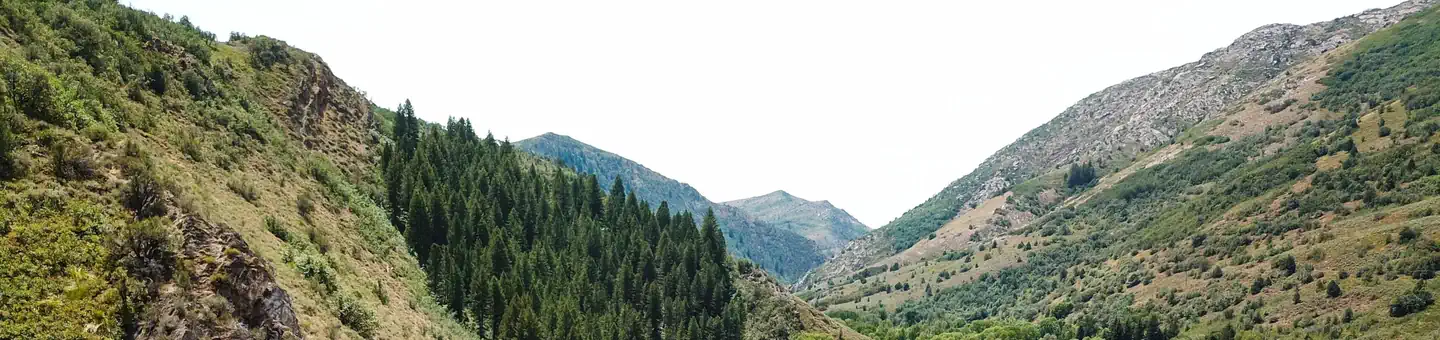 SOUTH FORK (UT) photo
