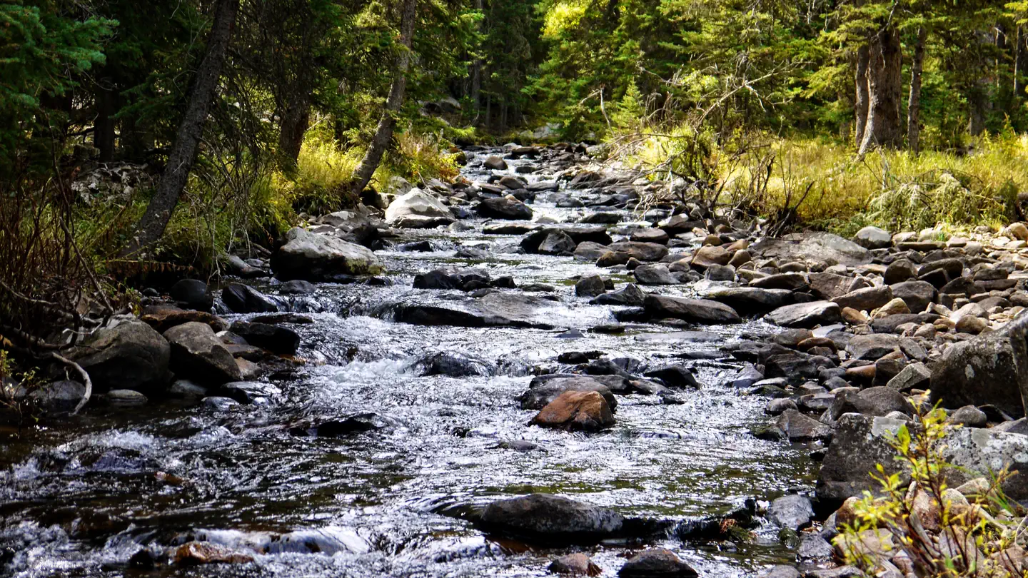 SOUTH FORK (WYOMING) photo