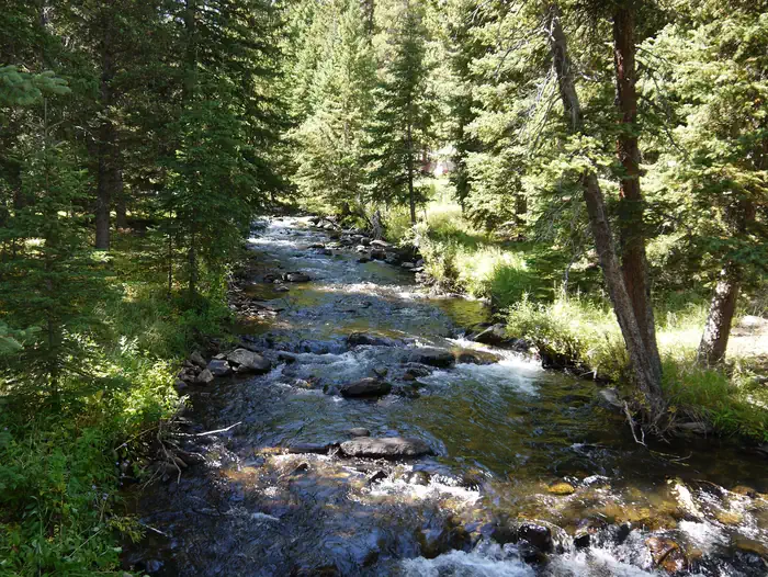 SOUTH FORK (WYOMING) photo 4