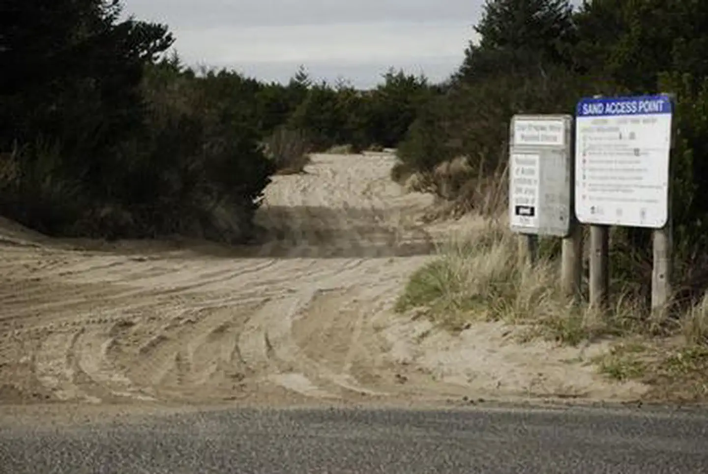 SOUTH JETTY SAND CAMPING photo 3