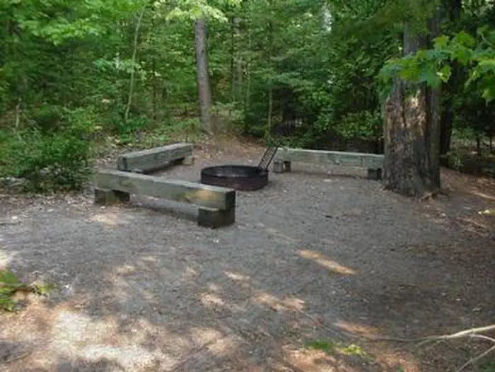 South Manitou Group Campground photo 4